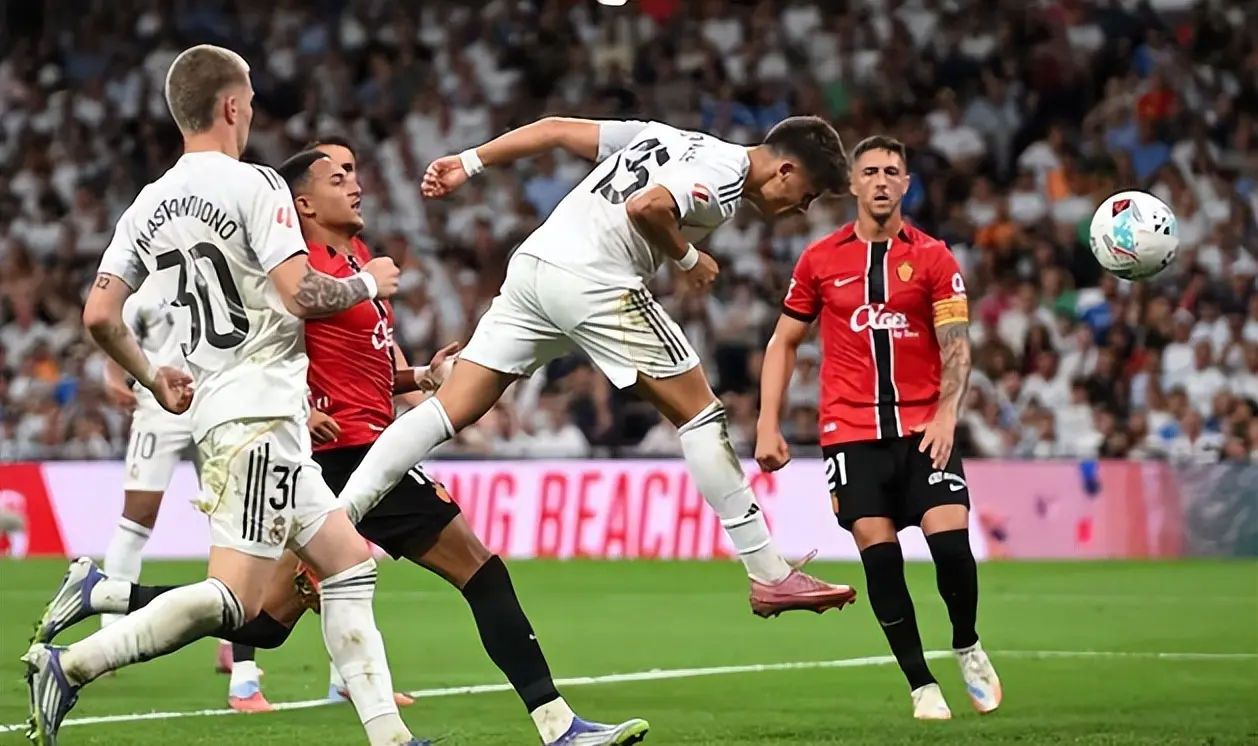 msn, 将联袂出击, 场引人关注